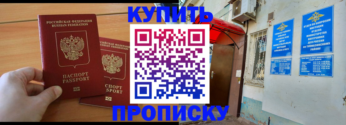 прописка штамп в Курчалом
